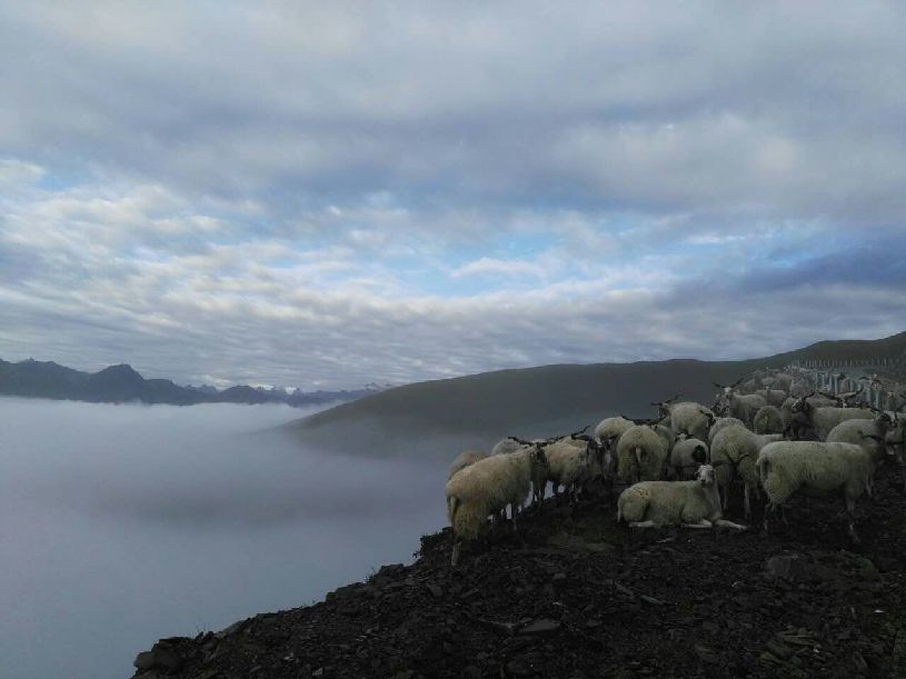 美中国】达瓦更扎看云海不朽情缘试玩网站【大(图2) 美中国】达瓦更扎看云海不朽情缘试玩网站【大(图2)