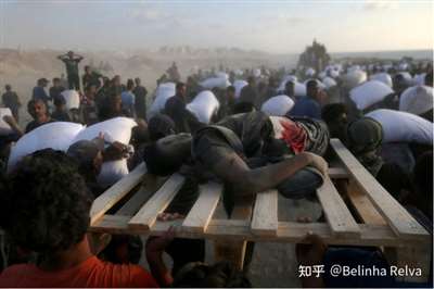 游戏:加沙人的死亡陷阱不朽情缘游戏手机版饥饿(图8) 游戏:加沙人的死亡陷阱不朽情缘游戏手机版饥饿(图8)