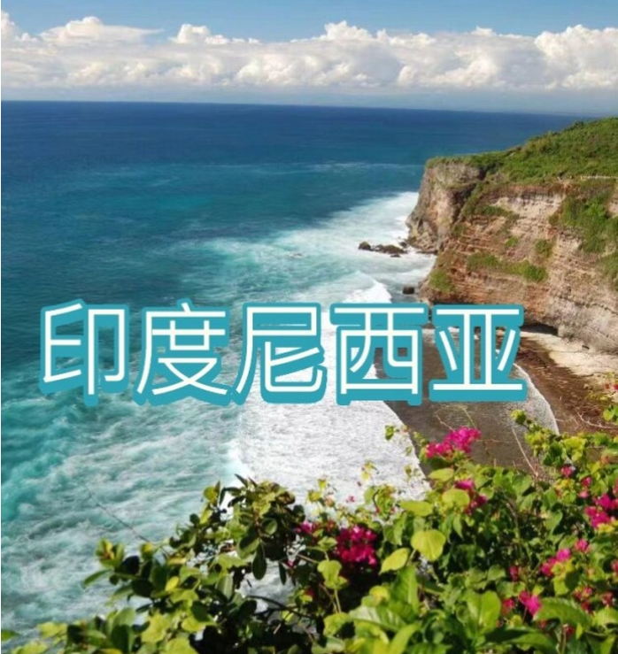 国国际电商(印尼)产业博览会不朽情缘游戏网站2025中(图1) 国国际电商(印尼)产业博览会不朽情缘游戏网站2025中(图1)