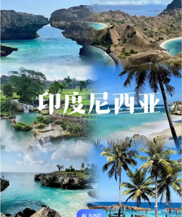 国国际电商(印尼)产业博览会不朽情缘游戏网站2025中(图3) 国国际电商(印尼)产业博览会不朽情缘游戏网站2025中(图3)